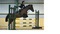NAF Horse & Pony 5* Performance Awards - Congratulations to Clair, Sian, Ellie, Lilla & Emily!